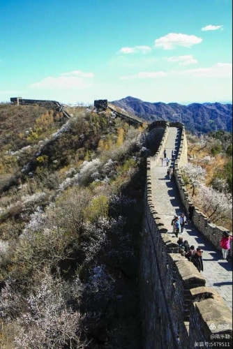 微信图片_2026-10-24_114350_335 微信图片_2026-10-24_114350_335