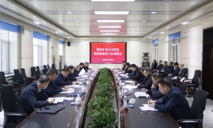 公司党委召开党建和思想政治...